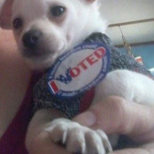 Meet your Posher, Melissa